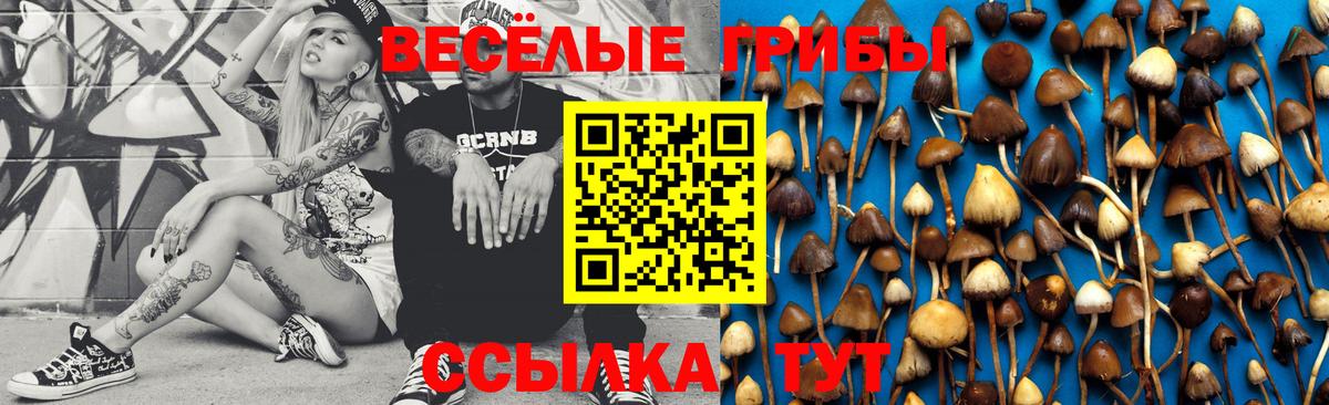 Галлюциногенные грибы ЛСД Троицк
